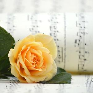 我的歌声里 (烟嗓版)