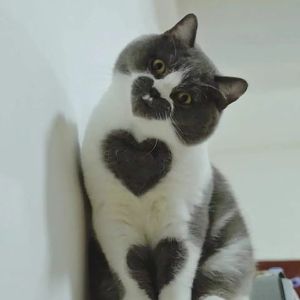 从厦门到漳州的距离.mp3