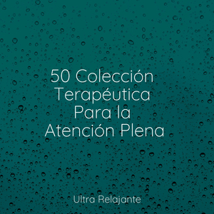 Trascendencia en Movimiento