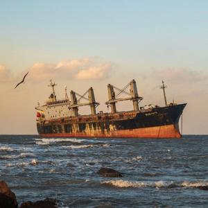 搁浅的布鲁维斯号