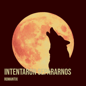Intentaron Separarnos
