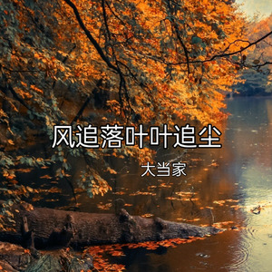 风追落叶叶追尘 (说唱版)