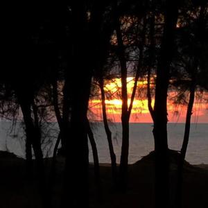 夜深人静是最疼时分（男生版）