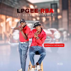 UMSHOVI WENKANI (feat. uSokalezidudla) (Radio Edit)