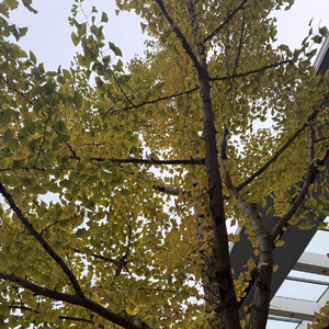 你的眼神是一场盛大的废墟