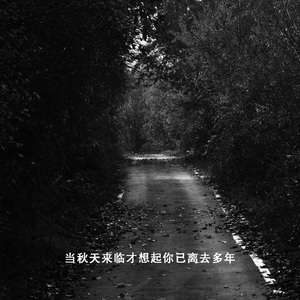 当秋天来临才想起你已离去多年