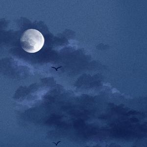 丹青墨绿（翻自 蓝心羽）