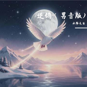 逆鸽（男音版）