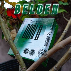 Belden