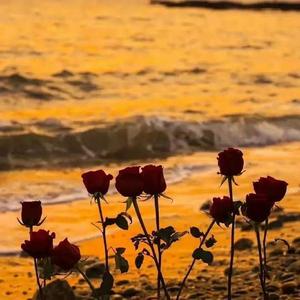 谁不是（金池/郁可唯 remix）