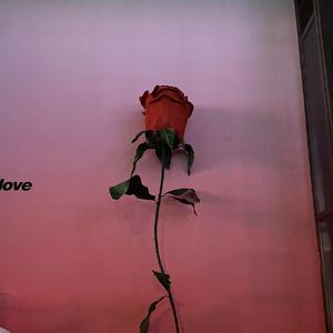 独（prod.by Morrow x Lisure）