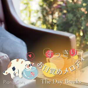 It's a Long Way to the Top