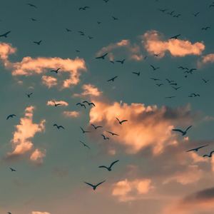 空苑午后 - 钢琴伴奏