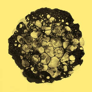 I Told You I’m Not Suited for This