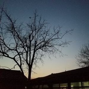 莉莉安（Cover 宋东野）