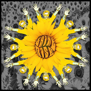 Try For The Sun aka Surf Tune