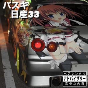 R33