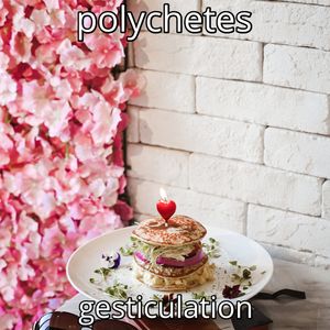 Polychetes