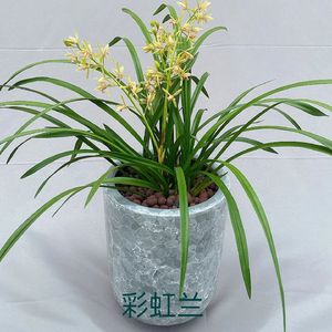 《爵士琴韵下的咖啡馆高效时光》08