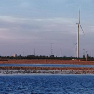 莫里森与杂货铺