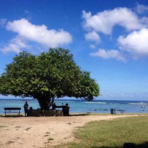 淼淼- 等你的季节