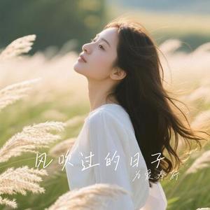 风吹过的日子