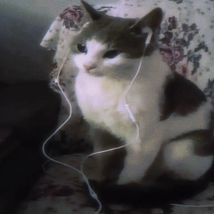 寂寞（翻自 ycccc）