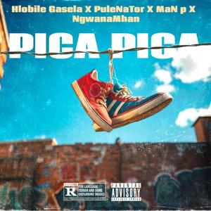 Pica Pica (Vocal mix) (feat. PuleNaTor, MaN p & NgwanaMhan)