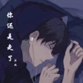 你还是走了