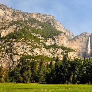 圣主朝朝暮暮情