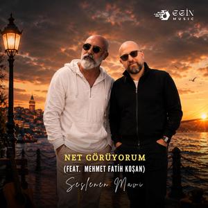 Net Görüyorum (feat. Mehmet Fatih Koşan)