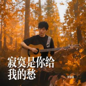 寂寞是你给我的愁