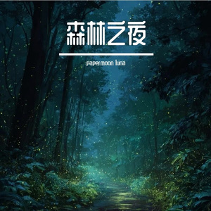 森林之夜