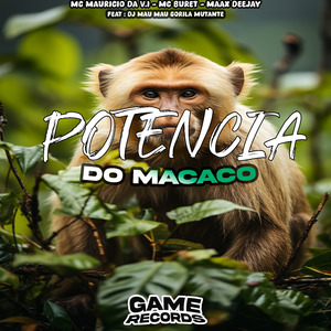 Potencia do Macaco