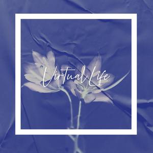 Virtual Life
