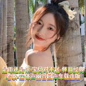 DJ国飞-是雨还是你-宝贝对不起-怀旧经典老歌-立体声丽音回声车载连版（DJ国飞 remix）