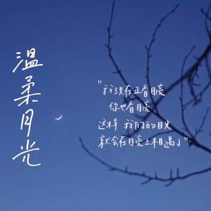 温柔月光