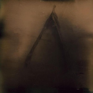 When I Look at Your Face, I See Timothy