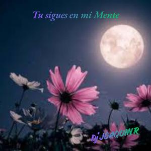 Tu sigues en mi Mente