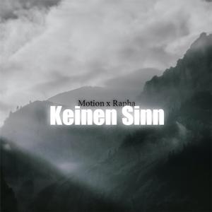Keinen Sinn (feat. Motion803)