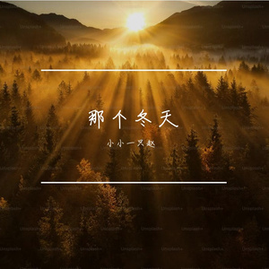 失去的你