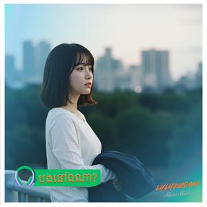 បងនៅឯណា?