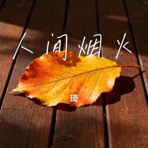 人间烟火 (Cover 程响)