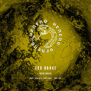 Ravindia (Diaz Tech Remix)