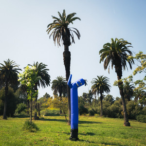 tell you straight (Ely Oaks’ version)