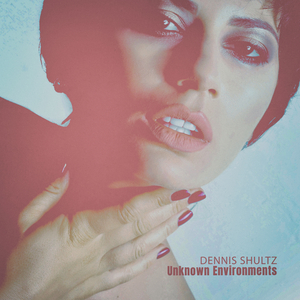 World Like It (The Black Gtr Project Mix)