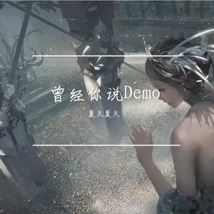 曾经你说-双声道（夏天夏天 remix）
