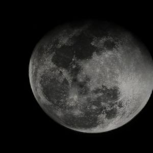 一个影子_223910084099819073_1770782070716