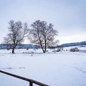cold