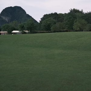 二十五年
